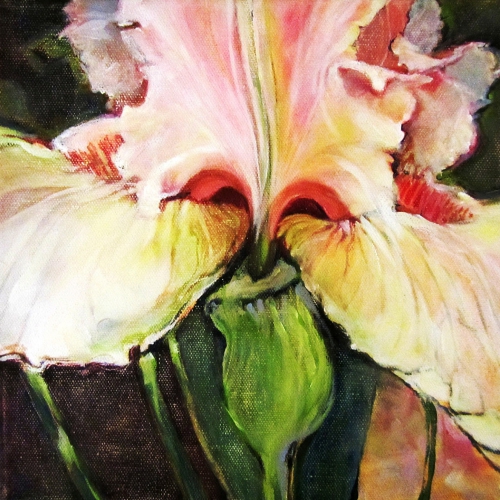 Iris  Oil Canvas 10 x 10 inch 2017
