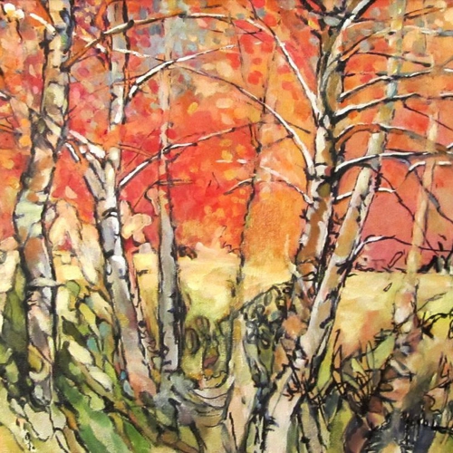 Birch Forest Oil Canvas 16 x 12 inch 2016